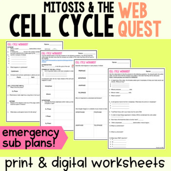 Preview of Emergency Sub Plans: Cell Cycle Webquest
