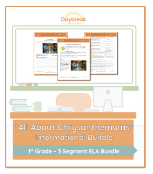 Preview of 1st Grade ELA | "All About Chrysanthemums" Informational Bundle