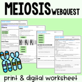 Emergency Sub Plans: Meiosis Webquest