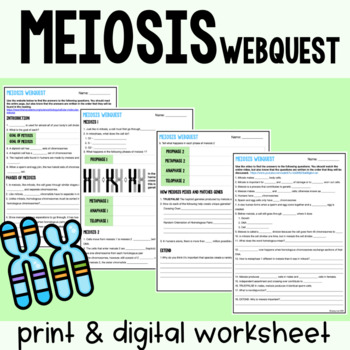 Preview of Emergency Sub Plans: Meiosis Webquest