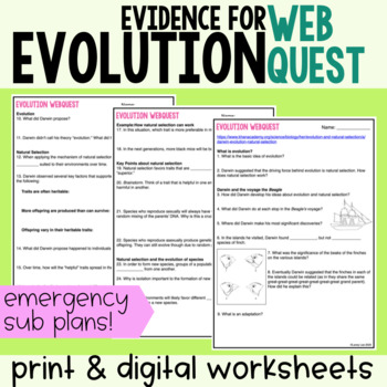 Preview of Emergency Sub Plans: Darwin, Natural Selection, & Evolution Webquest