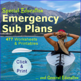 Emergency Sub Plans Special Education