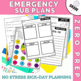 Emergency Sub Plans for 2nd grade