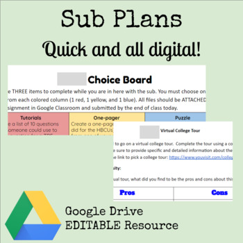 Preview of Emergency Sub Plans for Elective