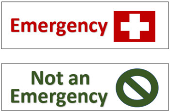 Preview of Emergency or Not an Emergency?