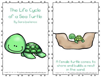 Book: The Life Cycle of a Sea Turtle-NLC – The Turtle Hospital