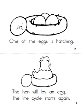 Life Cycle of a Chicken Booklet | Science Kindergarten 1st ...
