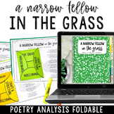 A Narrow Fellow in the Grass by Emily Dickinson Interactiv