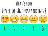 Emoji Themed "Levels of Understanding"