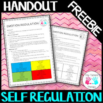 Self Regulation - Parent/Teacher Handout