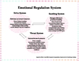 Emotion Regulation System