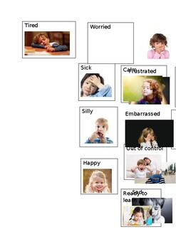 Preview of Emotion sorting activity