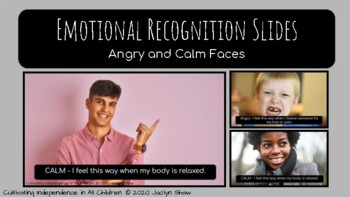 Preview of SEL ACTIVITIES Emotional Recognition Slides (Angry and Calm)