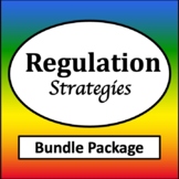 Emotional Regulation Activities Bundle {Posters, Worksheet