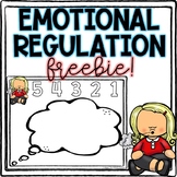 Emotional Regulation & Calm Down FREEBIE!