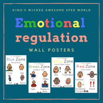 Preview of Emotional Regulation - Feelings Posters - Editable Version