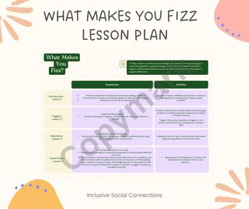 Preview of Emotional Regulation Lesson Plan - What Makes You Fizz