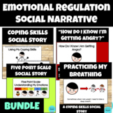 Emotional Regulation Social Narrative BUNDLE