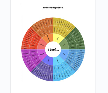 Preview of Emotional regulation and self awareness lessons for teens