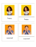 Emotions (3 Part Montessori cards)