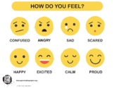 Emotions Chart & Poster for SEL (Appendix N)