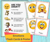 Emotions Flash Cards /Feelings Printable Flashcards / Todd