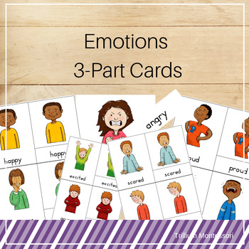 Preview of Emotions Montessori 3-Part Cards