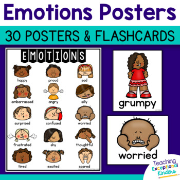 Preview of Emotions Posters and Flash Cards