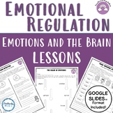 Emotional Regulation and the Brain | Dr. Siegel's Hand Mod