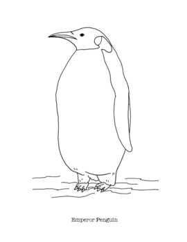 Emperor Penguin Coloring Page by Mama Draw It  TPT
