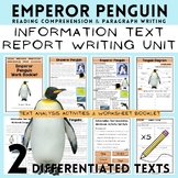 Emperor Penguin Information Texts, Report Paragraph Writin