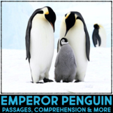 Emperor Penguins Activities Reading Passage Nonfiction Res