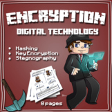 Encryption - Digital Technology - Minecraft Inspired - Has