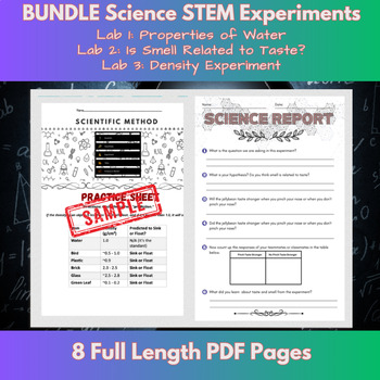 Preview of End of The Year Activities: Elementary STEM Science Experiments Worksheets
