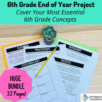 Preview of End of Year 6th Grade Math PRINTABLE project