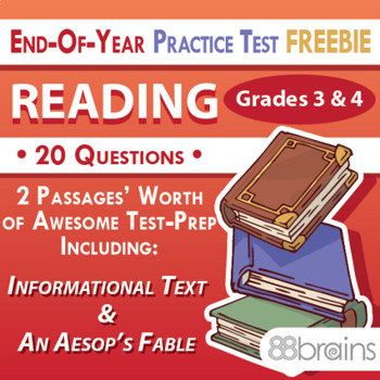 Preview of Test Prep - EOY Practice Test: Reading Grades 3 & 4 FREEBIE