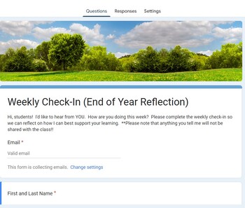 Preview of End of Year Reflection: Google Form