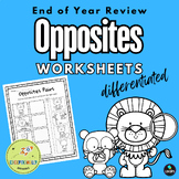End of Year Review Activities - Opposites Worksheets - Dif