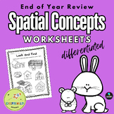 End of Year Review Activities - Spatial Concepts Worksheet