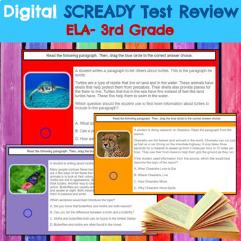 Preview of End of Year- State Test Review *3rd Grade* ELA Practice *Editable* SC Ready