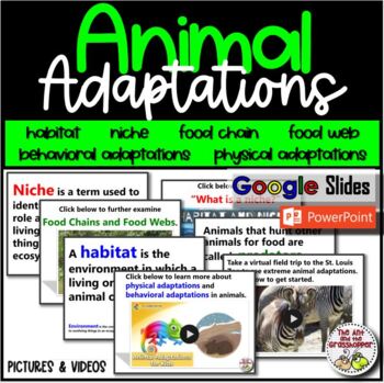 End-of-Year Test Prep - Into to Animal Adaptations - Google Slides & PPT