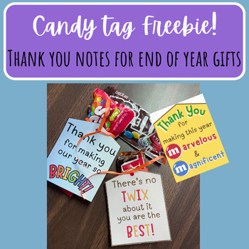 Preview of End of Year Thank You Tags FREEBIE!