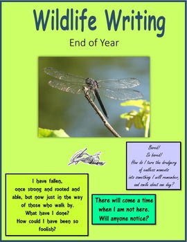 Preview of End of Year Wildlife Writing