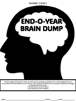 Preview of End of the Year Brain Dump