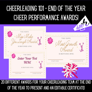 Preview of End of the Year Cheer Awards for Any Team OR Program!