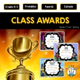 Editable Class Superlatives End of the Year Awards Charact