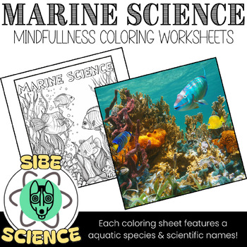 Preview of End of the Year Coloring Pages, Marine Science, Biology, Summer, Ocean, Science