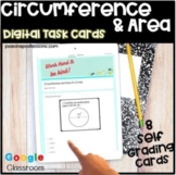 End of the Year Math Projects Circumference and Area of a 