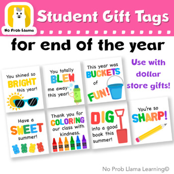 Preview of End of the Year Tag BUNDLE, Student Gift, Classroom Tags, Graduation, Printable