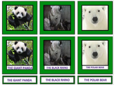 Endangered Animal Vocabulary Cards